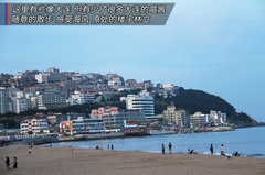 2009款 1.6L 自动 劲享版