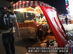 2009款 1.6L 自动 劲享版