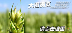 2009款 1.6L 自动 劲享版