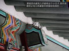 2009款 1.6L 自动 劲享版
