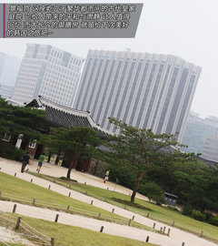 2009款 1.6L 自动 劲享版