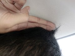 2010款 三厢 1.2SL 手动 温馨版
