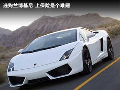 2010款 LP550-2 5.2L AMT Valentino Bolboni