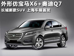 2010款 1.5L CVT 天窗版 5座