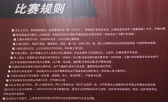 2010款 2.0T 自动 旗舰运动版