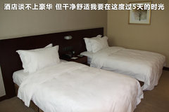 2010款 1.4L DSG 优雅版