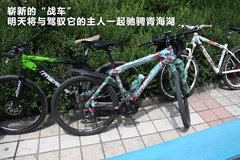 2010款 1.4L DSG 优雅版