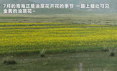 2010款 1.4L DSG 优雅版