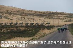 2010款 1.4L DSG 优雅版