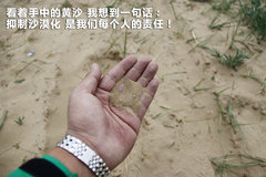 2010款 1.4L DSG 优雅版