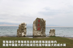 2010款 1.4L DSG 优雅版