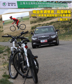 2010款 1.4L DSG 优雅版