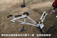 2010款 1.4L DSG 优雅版