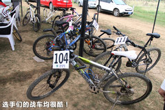 2010款 1.4L DSG 优雅版