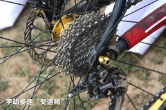 2010款 1.4L DSG 优雅版