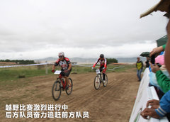 2010款 1.4L DSG 优雅版