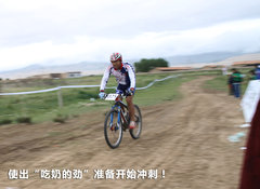 2010款 1.4L DSG 优雅版