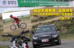 2010款 1.4L DSG 优雅版