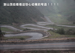 2010款 1.4L DSG 优雅版