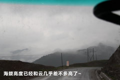 2010款 1.4L DSG 优雅版