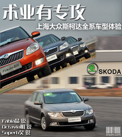 2010款 1.4L DSG 智雅版