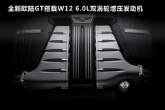 2010款 6.8T 标准版