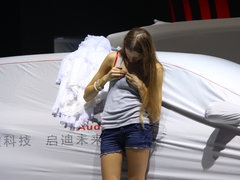 2010款 6.8T 标准版