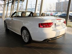 2010款 2.0T Cabriolet