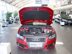 2010款 2.0T Sportback 技术型