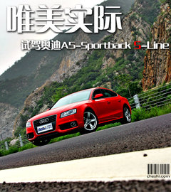 2010款 2.0T Sportback 豪华型