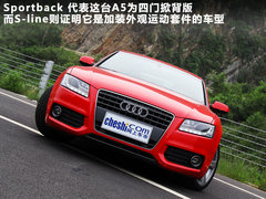 2010款 2.0T Sportback 豪华型