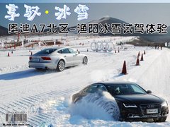 2012款 3.0 TFSI S-Tronic quattro 豪华型