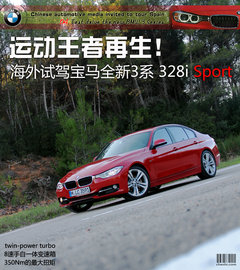 2011款 330i 3.0L 敞篷轿跑车
