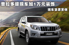 2010款 4.0L AT VX NAVI 7座
