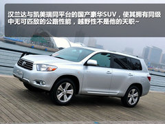 2010款 4.0L AT VX NAVI 7座