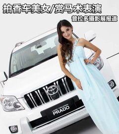 2010款 4.0L AT VX NAVI 7座