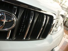2010款 4.0L AT VX NAVI 7座