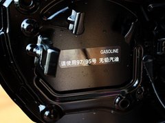 2010款 4.0L AT VX NAVI 7座