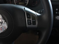 2010款 1.5L 手动 冠军限量版