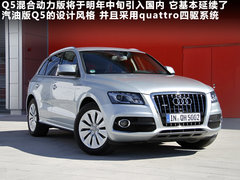 2010款 5.2L FSI quattro V10