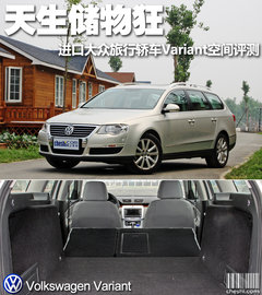 2011款 2.0T DSG 旅行版 豪華型