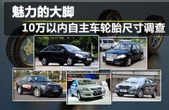 2010款 1.8L 自動(dòng) 尊貴型