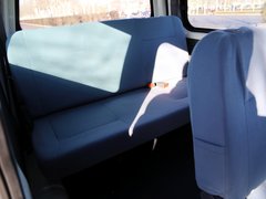 2010款 1.0 手动 新动力豪华型