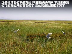 2010款 1.3L AMT 旗舰型