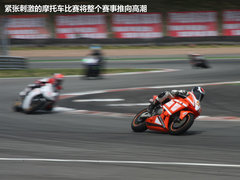 2010款 三厢 1.4L 手动 品乐周年纪念版