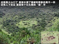 2010款 三厢 1.5L 手动 运动版