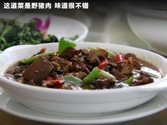 2010款 三厢 1.5L 手动 运动版