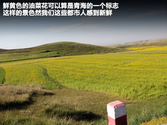 2011款 2.0 手动 丝路限量版 5座