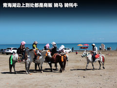 2011款 2.0 手动 丝路限量版 5座