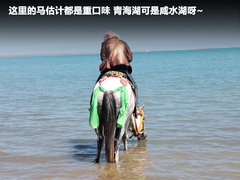 2011款 2.0 手动 丝路限量版 5座